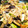 miffy_baby's cooksnap of when they made 豚とたっぷり野菜のスタミナ炒め♪.