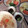 ﾌﾞﾚﾝﾀﾞ's cooksnap of when they made 超簡単■新タマネギの卵おかか■10分以内.