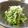 solapapa's cooksnap of when they made ☆切り干し大根とカニカマのサラダ☆.