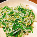 kiiko☆'s cooksnap of when they made ピーマンとモヤシのｶﾞｰﾘｯｸ炒め☆.