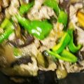 ゆんやともも's cooksnap of when they made 豚肉とナスとピーマンの炒め煮.