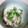 プロイセンのうさぎ's cooksnap of when they made しらすとみょうがの簡単ご飯☆.