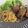 Amalka's cooksnap of when they made ワンボウルで♪さっぱり梅じゃこ和パスタ.