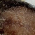 りーとぽん's cooksnap of when they made 鰤の照り焼き.