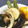 北ちひろ's cooksnap of when they made 野菜のさっぱり揚げ焼き浸し.