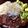 ごり23's cooksnap of when they made さっぱり！MAT丼(マグロアボガド豆腐).