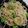 ナンバン's cooksnap of when they made そら豆とベーコンのチーズクリームパスタ.