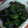 珍味佳肴's cooksnap of when they made ＊竹輪ときゅうりの梅しそ和え＊.
