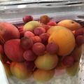 はちみつはーすけ's cooksnap of when they made 果実酒：にぎやか梅酒.