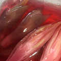 cocoeba's cooksnap of when they made 簡単♡材料３つ♡みょうがの甘酢漬け.