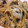 クックPX0BNC☆'s cooksnap of when they made プロの味♡ちょっとのコツで旨旨♡生姜焼き.