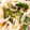 クックCDN0U1☆'s cooksnap of when they made 1袋使い切り！もやしナムル.