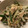 クックI3R7L1☆'s cooksnap of when they made もやしと胡瓜のさっぱり梅和え.