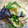 パパの手料理☆'s cooksnap of when they made 揚げない！茄子の揚げ焼き豆腐.