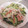 S72☆'s cooksnap of when they made ☆カニかまときゅうりの中華和え.