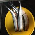 ukimari's cooksnap of when they made （簡単）サンマの内蔵の取り方.