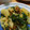ばく★ちく's cooksnap of when they made 豚と大根のカレー煮.