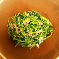 mianna775's cooksnap of when they made 3分で完成！節約★豆苗とツナの中華和え★.