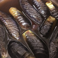 クックOLHMVY☆'s cooksnap of when they made ナスの煮浸し.