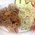 クックN3E21A☆'s cooksnap of when they made 簡単にできる生姜焼き.