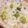 FOGTTI's cooksnap of when they made 豆ご飯♡.