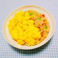 まあまま☆0403's cooksnap of when they made とり肉の和風☆親子チャーハン♪.
