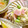 ｍａｍｉ＊・゜'s cooksnap of when they made ｷｬﾍﾞﾂと枝豆の春雨ｻﾗﾀﾞ.