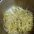 rikihaha's cooksnap of when they made 簡単美味しい豆もやしナムル.