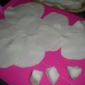 3mamakuma's cooksnap of when they made 餃子の皮.