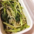 ｆｉｎｄ１１４'s cooksnap of when they made 小松菜ともやしの給食風ナムル.