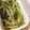 ｆｉｎｄ１１４'s cooksnap of when they made 小松菜ともやしの給食風ナムル.
