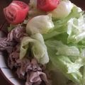 mht☆'s cooksnap of when they made 夏のランチに♪豚しゃぶサラダそうめん.