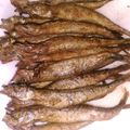 ぴかまりん's cooksnap of when they made ししゃもの唐揚げ♪.