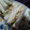 Natsutach's cooksnap of when they made 簡単♪ツナきゅうり.