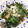 猫のミイヤ's cooksnap of when they made いんげんと舞茸のバター炒め☆.