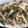 ちゃまライス's cooksnap of when they made もやしと豚肉の柚子胡椒炒め.