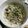 uic's cooksnap of when they made アサリのピラフ.
