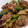 きゃらとも's cooksnap of when they made 簡単！新筍とアスパラのオイスター炒め.