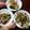 ゆっかka's cooksnap of when they made 水菜でシャキシャキお好み焼き.