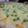 みき～な's cooksnap of when they made こりゃうまい♪ふんわり枝豆パン.