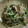 ちのぽん's cooksnap of when they made もやしと豚肉の柚子胡椒炒め.