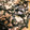クックLZ7E8G☆'s cooksnap of when they made ワラビとツナのマヨネーズ和え.