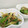 あんず7034's cooksnap of when they made ♪青梗菜と茗荷の和え物♪.