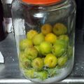 kinkinsan's cooksnap of when they made 簡単！梅干を漬けよう.