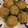 すくもーん's cooksnap of when they made 新玉ねぎの皮なししゅうまい.