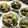 モモマカロン♪'s cooksnap of when they made あずきと抹茶の蒸しパン。.