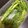 ciomam's cooksnap of when they made 香り野菜の保存法.