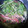 クックOYTSP1☆'s cooksnap of when they made 超簡単！ちくわと春雨のエスニックスープ！.