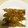 ミニぱたん's cooksnap of when they made 豚肉巻き　ごぼう　いんげん　ニンジン.