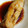 kimkocchi's cooksnap of when they made ももさんちのカレイの煮付け.